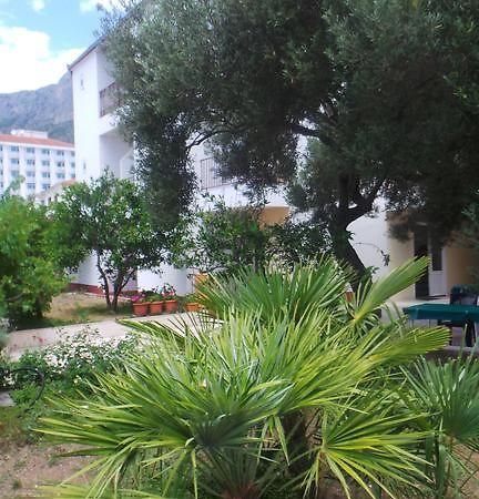 Pension Vice Gradac  Exterior foto