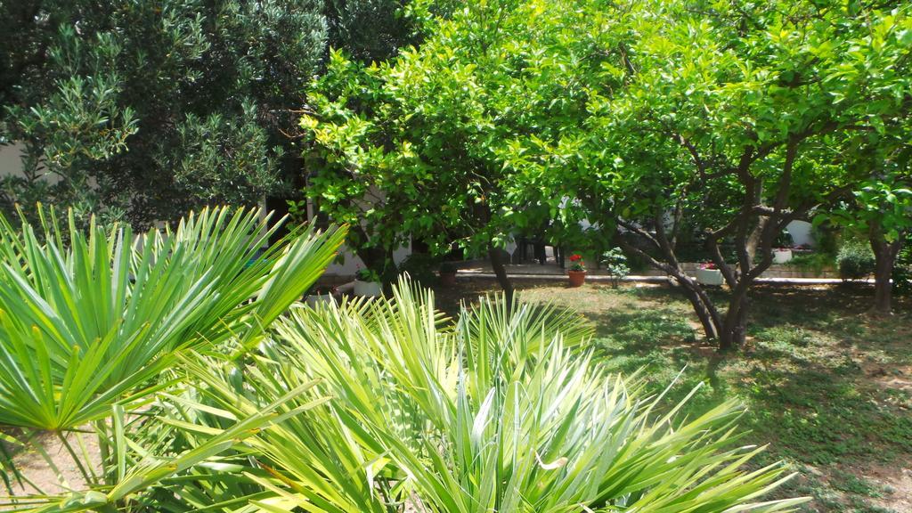 Pension Vice Gradac  Exterior foto
